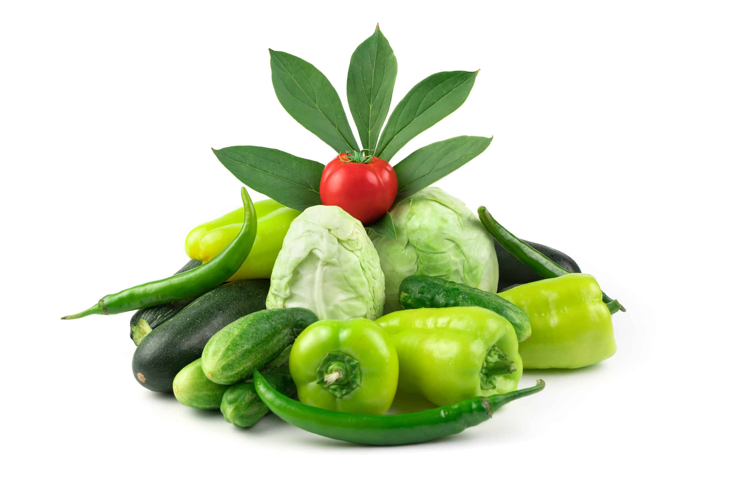 Green vegetables and tomatoes. Various vegetables: cabbage, cucumbers, peppers, zucchini and a green branch with leaves on a white background. The concept of proper nutrition.