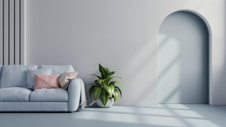 Blue sofa with plant on white wall and blue flooring. – Produktfoto und Onlineshop Produktbilder
